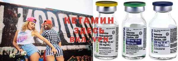 амф Гусев