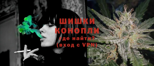 твердый Бородино
